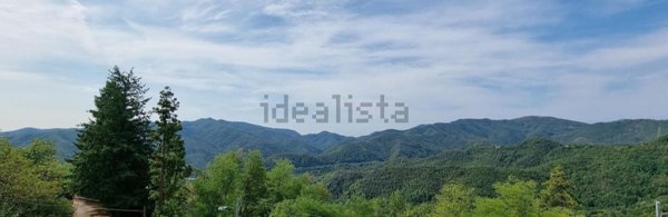 appartamento in vendita a Carrodano in zona Mattarana