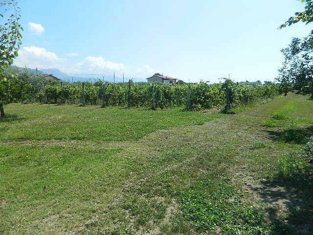 terreno agricolo in vendita a Castelnuovo Magra