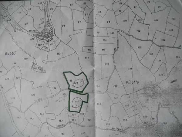 terreno agricolo in vendita a Castelnuovo Magra