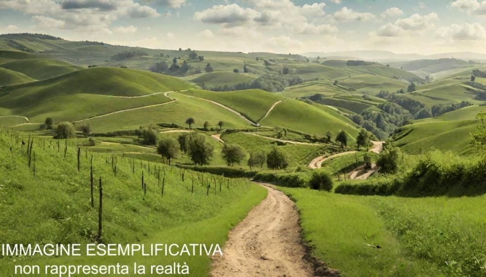 terreno agricolo in vendita a Castelnuovo Magra in zona Colombiera