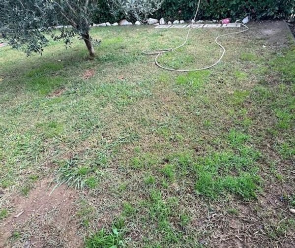 terreno agricolo in vendita a Castelnuovo Magra in zona Aglione