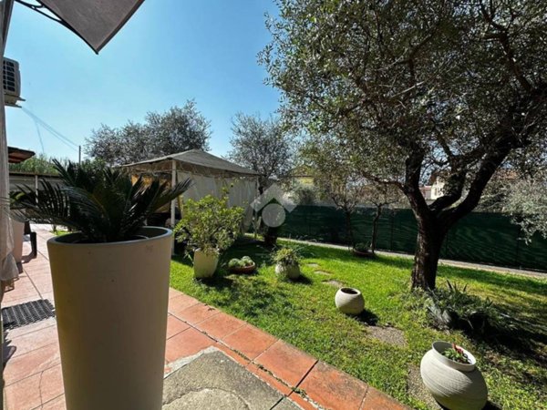 pentavano in vendita a Castelnuovo Magra in zona Molicciara