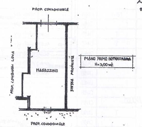 locale di sgombero in vendita a Castelnuovo Magra in zona Molicciara