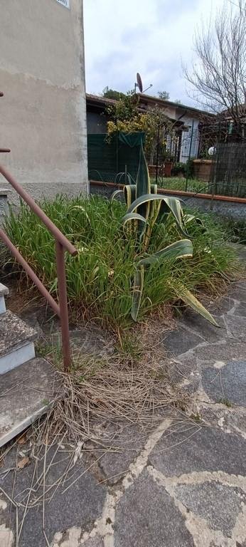 casa indipendente in vendita a Castelnuovo Magra in zona Molicciara