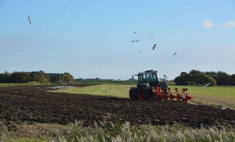 terreno agricolo in vendita a Castelnuovo Magra