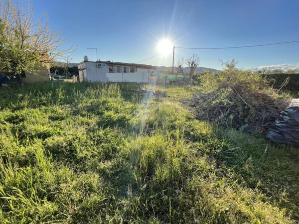 terreno agricolo in vendita a Castelnuovo Magra