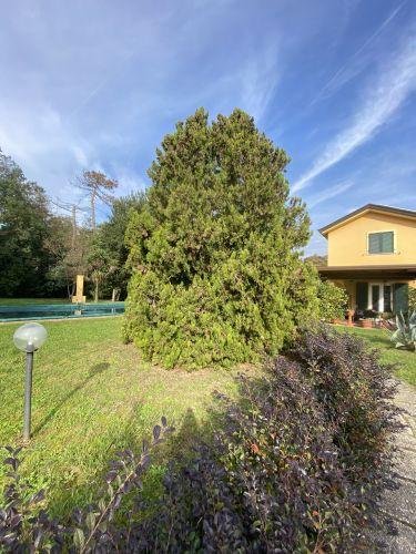casa indipendente in vendita a Castelnuovo Magra in zona Palvotrisia