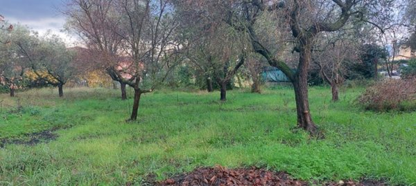 terreno edificabile in vendita a Castelnuovo Magra in zona Molicciara