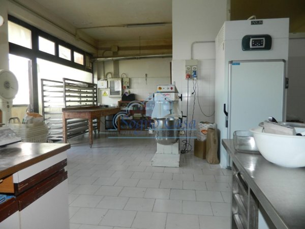 quadrivano in vendita a Castelnuovo Magra
