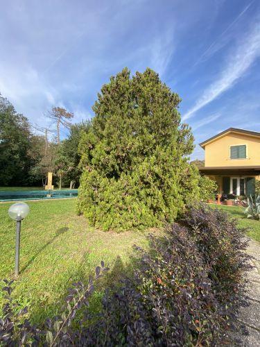 casa indipendente in vendita a Castelnuovo Magra in zona Palvotrisia