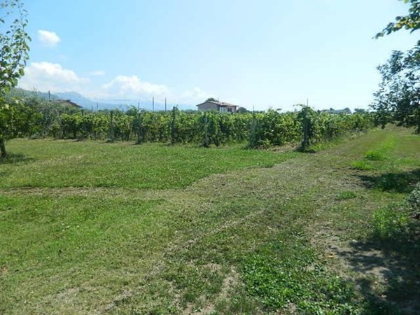 terreno edificabile in vendita a Castelnuovo Magra