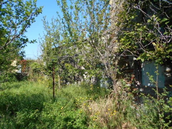 pentavano in vendita a Castelnuovo Magra in zona Molicciara