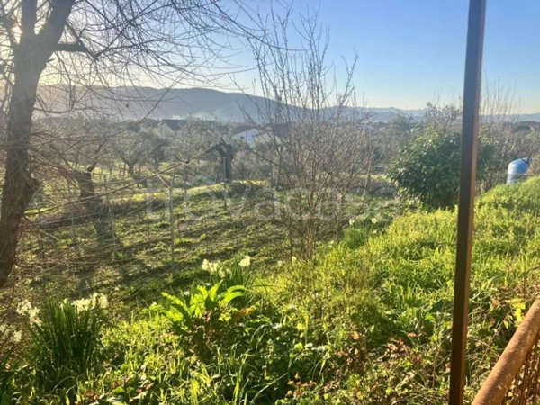 casa indipendente in vendita a Castelnuovo Magra in zona Colombiera