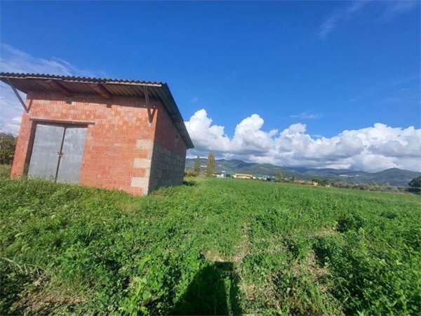 terreno agricolo in vendita a Castelnuovo Magra