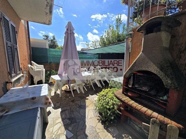 esavano in vendita a Castelnuovo Magra in zona Molicciara