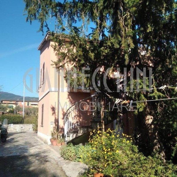 esavano in vendita a Castelnuovo Magra