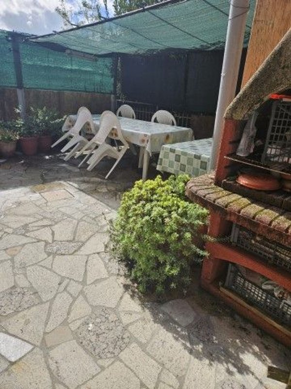 esavano in vendita a Castelnuovo Magra in zona Molicciara