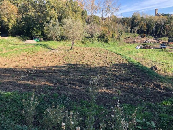 terreno agricolo in vendita a Castelnuovo Magra