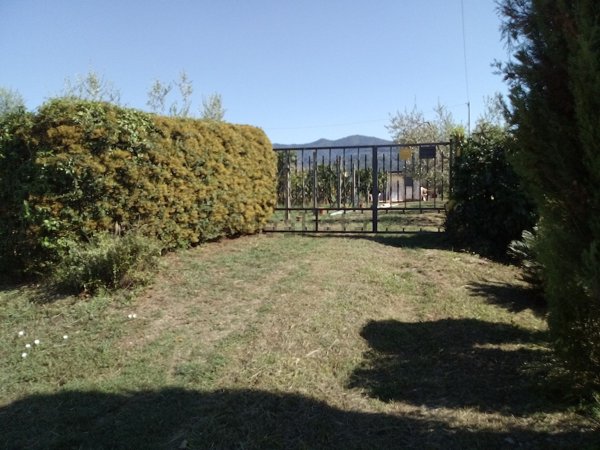 terreno agricolo in vendita a Castelnuovo Magra