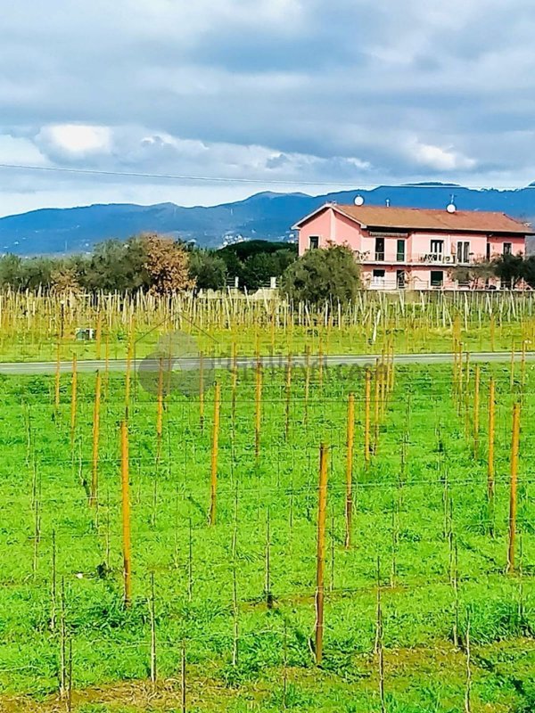 appartamento in vendita a Castelnuovo Magra