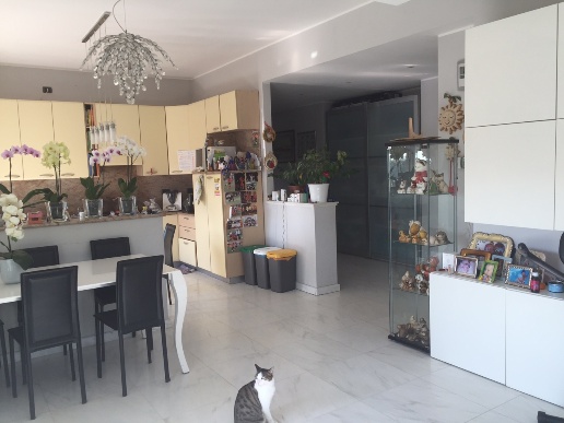 appartamento in vendita a Castelnuovo Magra in zona Molicciara