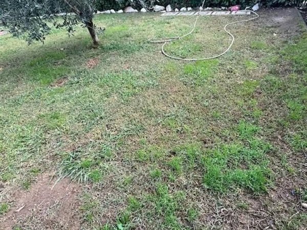 terreno agricolo in vendita a Castelnuovo Magra