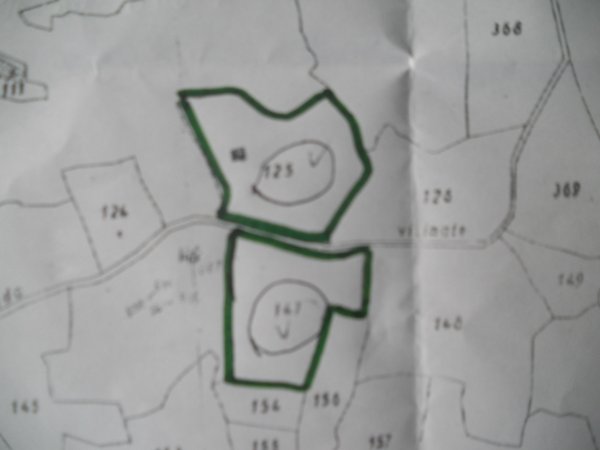 terreno agricolo in vendita a Castelnuovo Magra