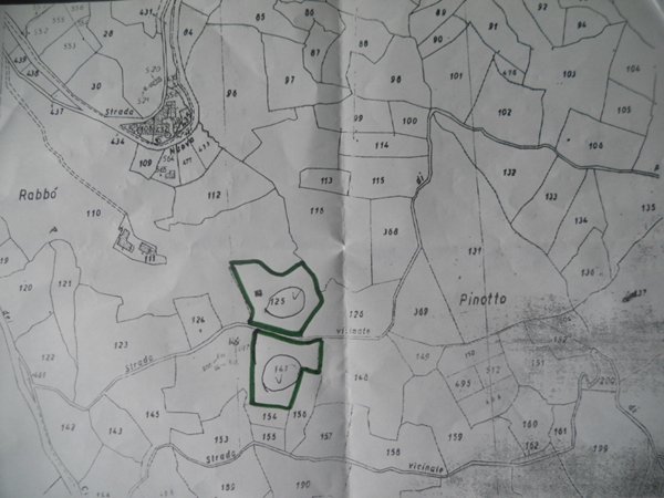 terreno agricolo in vendita a Castelnuovo Magra