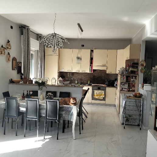 appartamento in vendita a Castelnuovo Magra in zona Molicciara