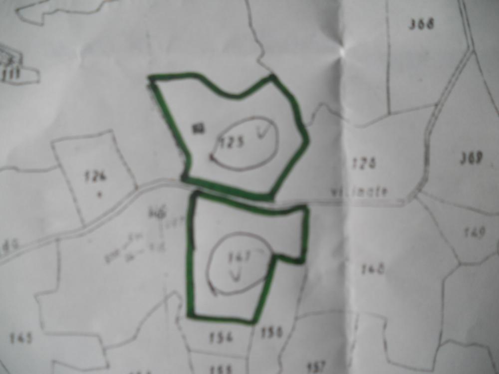 terreno agricolo in vendita a Castelnuovo Magra