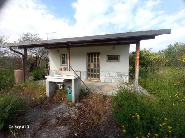 terreno agricolo in vendita a Castelnuovo Magra