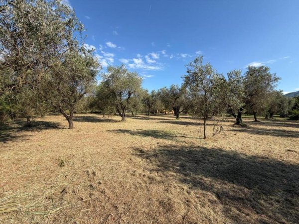 terreno agricolo in vendita a Castelnuovo Magra