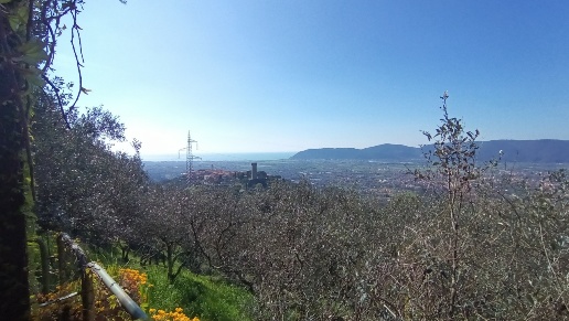 casa indipendente in vendita a Castelnuovo Magra