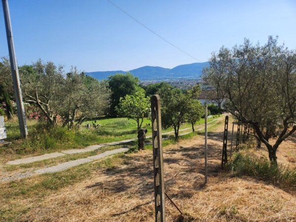 terreno agricolo in vendita a Castelnuovo Magra in zona Vallecchia
