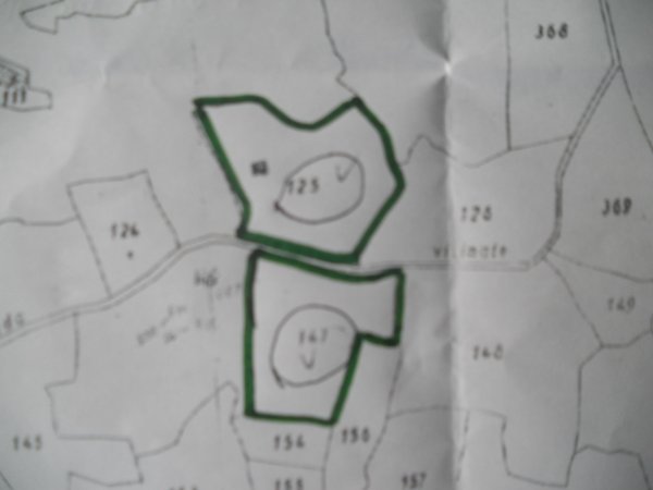 terreno agricolo in vendita a Castelnuovo Magra in zona Vallecchia