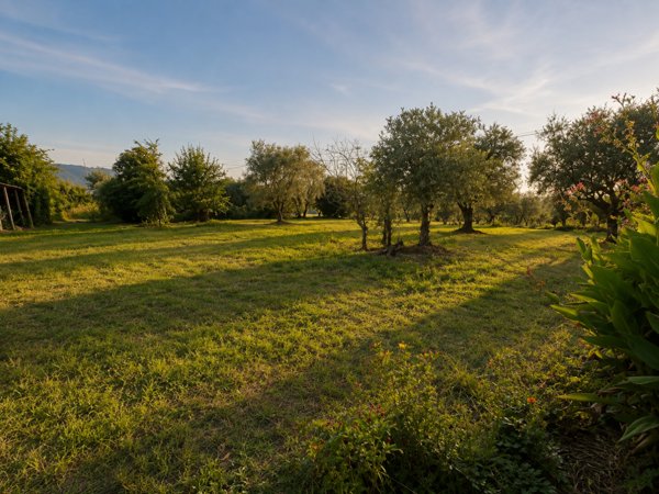 casa indipendente in vendita a Castelnuovo Magra in zona Palvotrisia