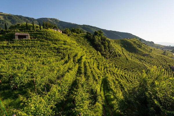 terreno edificabile in vendita a Castelnuovo Magra in zona Vallecchia