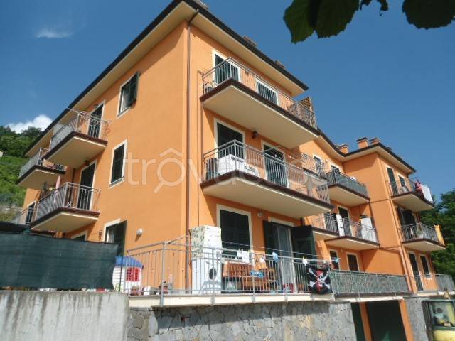 appartamento in vendita a Follo in zona Piana Battolla