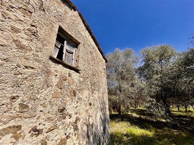 terreno edificabile in vendita a Follo