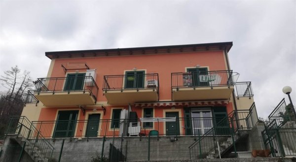 appartamento in vendita a Follo in zona Carnea