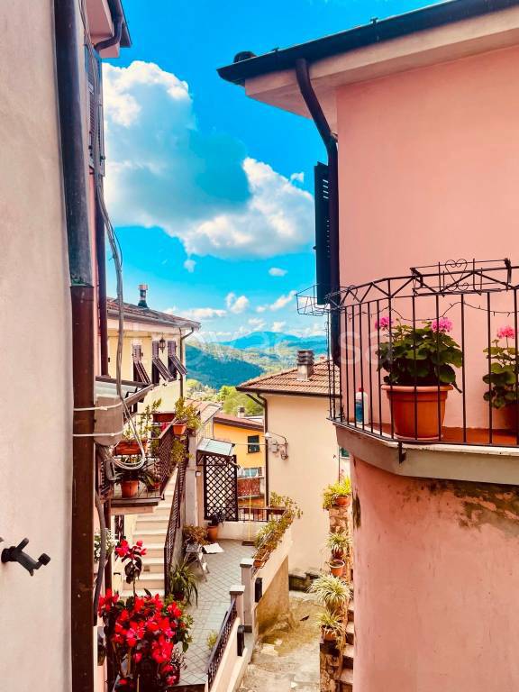 appartamento in vendita a Follo in zona Carnea