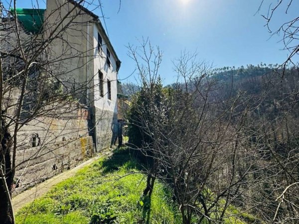 casa indipendente in vendita a Follo in zona Valdurasca