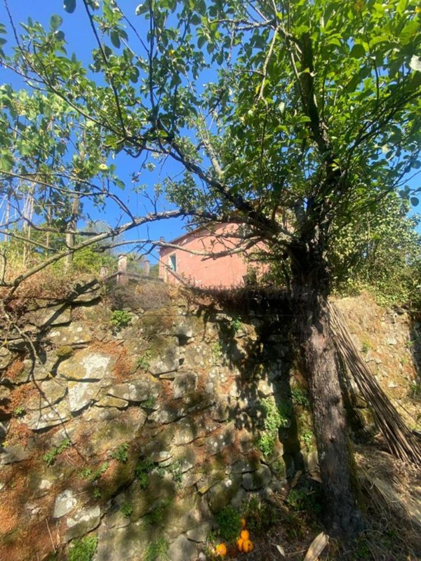 casa indipendente in vendita a Follo