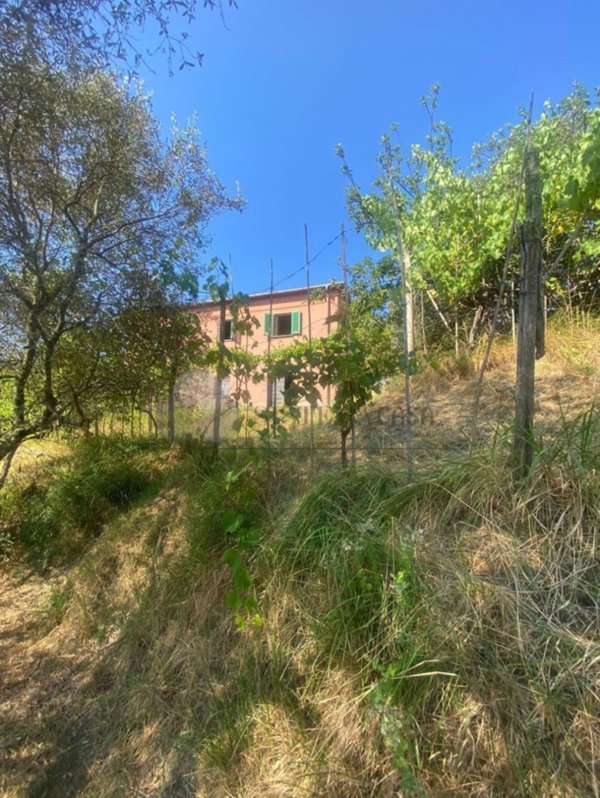 casa indipendente in vendita a Follo