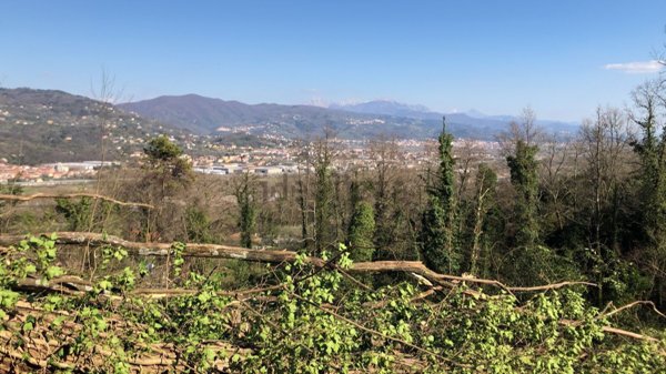 casa indipendente in vendita a Follo