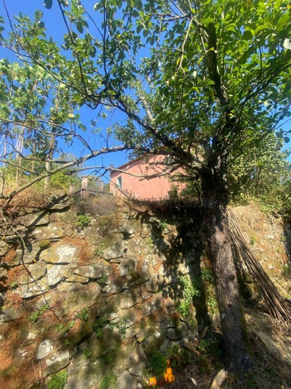 casa indipendente in vendita a Follo