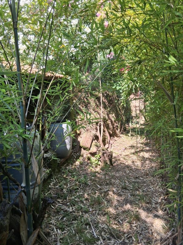 casa semindipendente in vendita a Follo in zona Tivegna