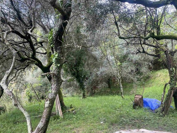 terreno agricolo in vendita a Follo in zona Tivegna