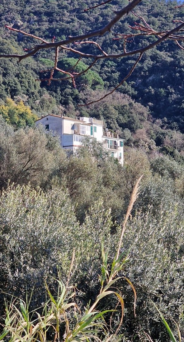 appartamento in vendita a Framura in zona Anzo