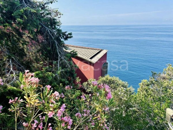 immagine annuncio 0 di 15